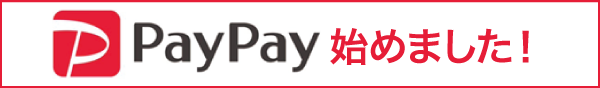 PayPay PayPay
